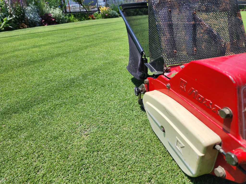 芝生と花壇とバロネスの芝刈り機