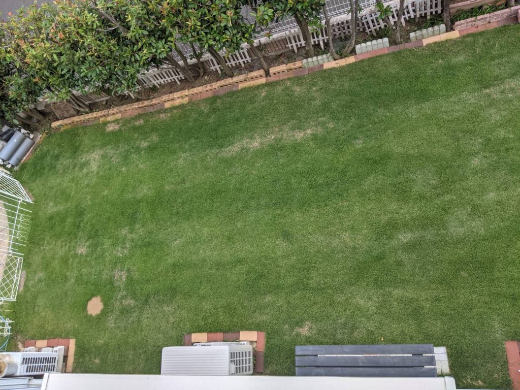 鶏糞を芝生に利用する